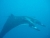 k-k-P7261136.JPG