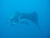 k-k-P7261141.JPG