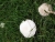 23.07.2010 018.jpg