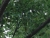 cimg0881.jpg