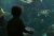 aquario4.jpg
