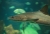 aquario6.jpg