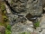k-P1020917.JPG