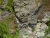 k-P1020918.JPG