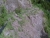 DSCK0016.JPG