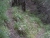 DSCK0017.JPG