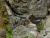 preview_k-P1020917.JPG