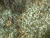 k-P1000791.JPG