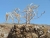 k-P1010062.JPG