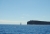 DSC_0400.JPG