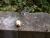 DSCN7767 (Small).JPG