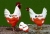 285759_580066242021445_1799374381_n.jpg