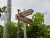 k-P1010887.JPG