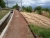 k-P1010562.JPG