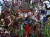 dmf9c1sm19_dsc_2539.jpg
