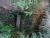 DSC03793.JPG