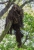 F10A0147_17.jpg