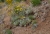 F10A1259_17.jpg