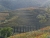 DSC08007.JPG