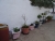 DSC09278.JPG