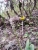 20160514_145843.jpg