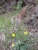 20160514_145704.jpg