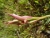 DSC01017.JPG