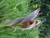 DSC01027.JPG