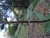 DSC00106.JPG