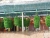 k-DSCN1324.JPG