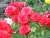 k-DSCN2609.JPG