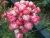 k-DSCN2623.JPG