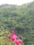 k-DSCN2625.JPG