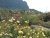 k-DSCN2665.JPG