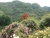 k-DSCN2694.JPG
