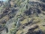k-DSCN1103.JPG