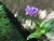 k-DSCN1968.JPG
