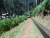 k-DSCN3288.JPG