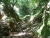k-DSCN3320.JPG