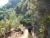 k-DSCN3435.JPG