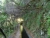 k-DSCN3438.JPG