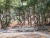 k-DSCN3570.JPG