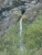 k-DSCN4097.JPG