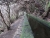 Levada 25 fontes (800x600).jpg