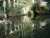 Jardim tropical-Wasser (800x600).jpg