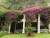 k-DSCN6787.JPG