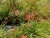 k-DSCN7037.JPG