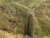 k-DSCN7319.JPG