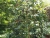 k-DSCN7565.JPG