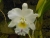 k-DSCN7814.JPG